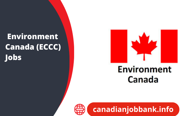 Environment Canada Jobs 2025 Remote Opportunities for Foreigners