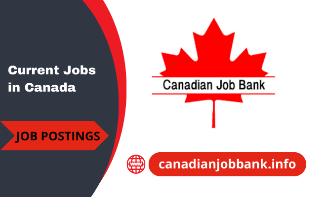 Top Organization Jobs in Canada by Industry